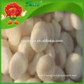 wholesale rich nutrition fruit water chestnut lowest price bulk selling